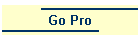 Go Pro